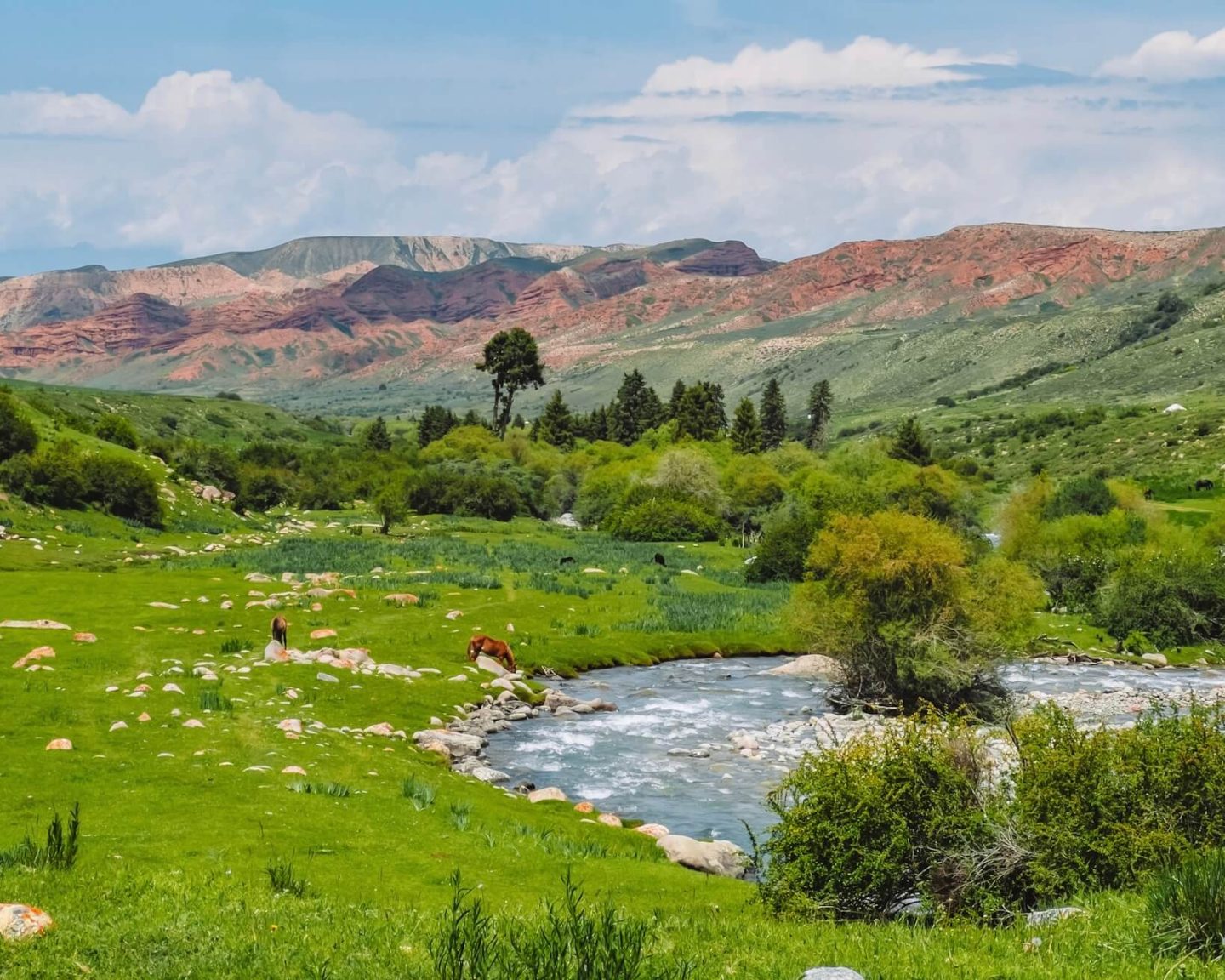 kyrgyzstan-nh