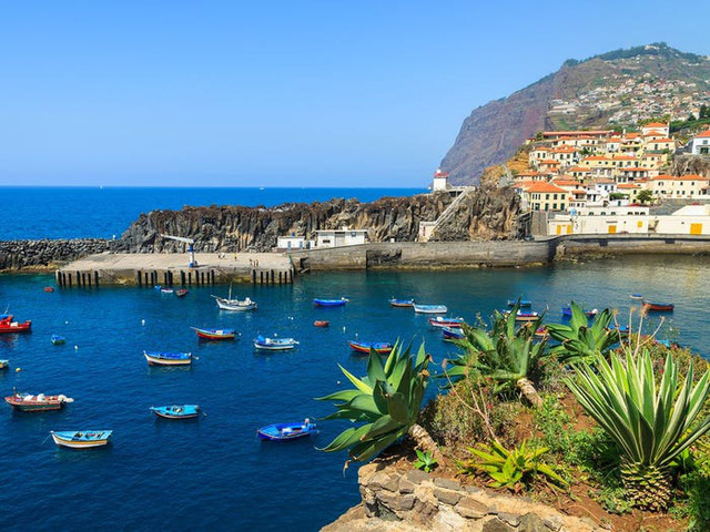 madeira-anh