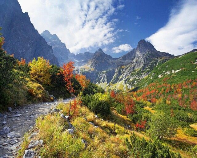slovakia-anh
